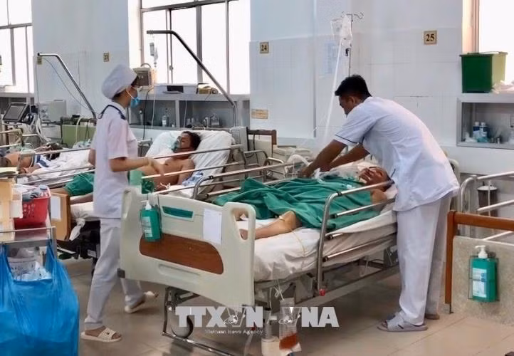 Năm người nguy kịch vì ngộ độc cá nóc ảnh 1