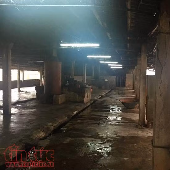 Xích mích tại lò mổ, dùng dao đâm chí mạng đồng nghiệp ảnh 1