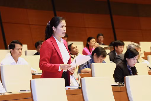 Giảm số lượng án tồn đọng không được thi hành ảnh 1