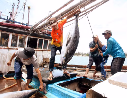 Chậm đóng mới tàu đánh bắt xa bờ ảnh 1