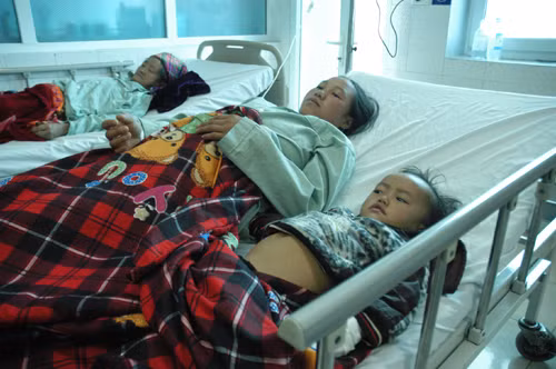 Ăn nấm rừng, 19 người nhập viện ảnh 1