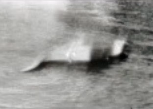 Bằng chứng ‘quái vật hồ Loch Ness’ tồn tại? ảnh 9