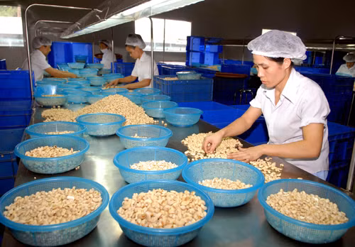 Xuất khẩu nông lâm thủy sản tăng 11,2% ảnh 1