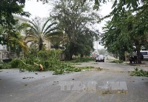 Bão lớn tại Madagascar, ít nhất 17 người thiệt mạng ảnh 1
