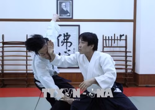 200 võ sư, huấn luyện viên biểu diễn võ AIKIDO tại Hà Nội ảnh 3