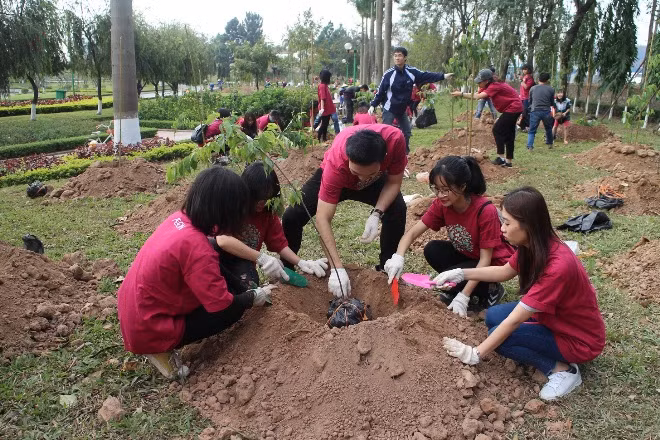 Công viên Hoà Bình sẽ trở thành vườn hoa anh đào lớn nhất Thủ đô ảnh 4