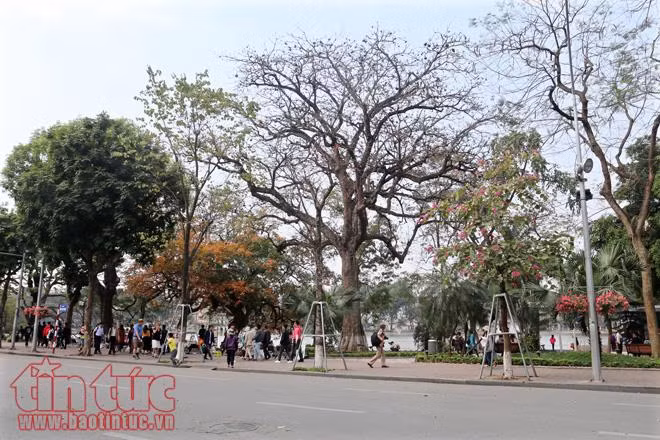 Khoảnh khắc Hà Nội trong tiết giao mùa ảnh 5