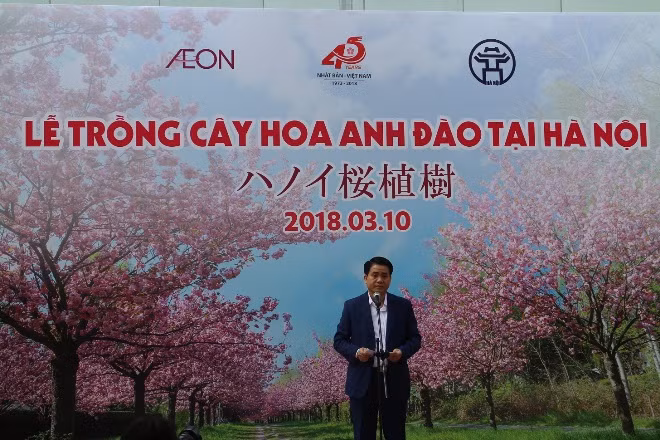 Công viên Hoà Bình sẽ trở thành vườn hoa anh đào lớn nhất Thủ đô ảnh 2