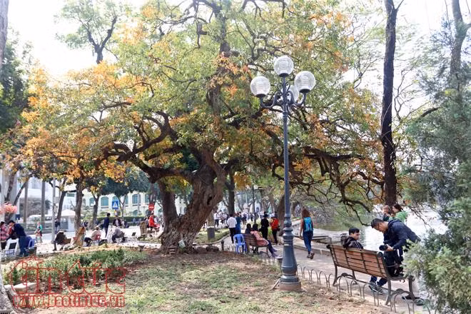 Khoảnh khắc Hà Nội trong tiết giao mùa ảnh 7