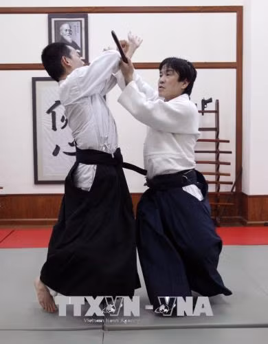 200 võ sư, huấn luyện viên biểu diễn võ AIKIDO tại Hà Nội ảnh 10