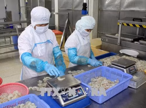 Hiểu tập quán tiêu dùng để chinh phục thị trường ngoài nước ảnh 1