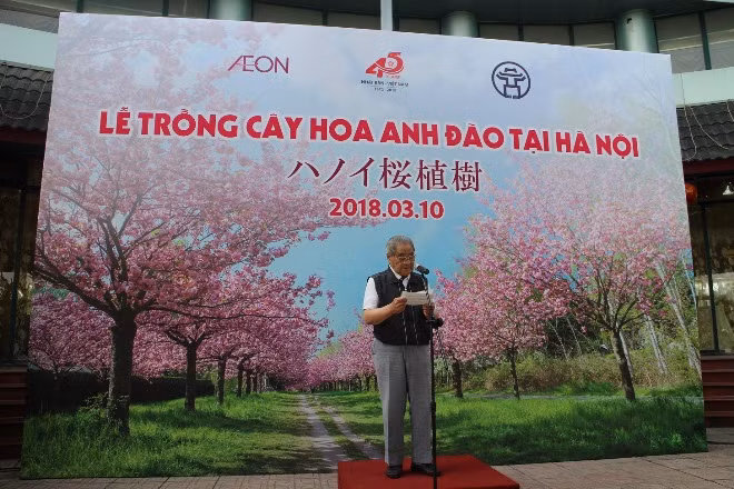 Công viên Hoà Bình sẽ trở thành vườn hoa anh đào lớn nhất Thủ đô ảnh 3