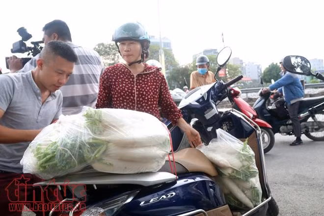 Người dân Thủ đô 'giải cứu' củ cải giúp nông dân Tráng Việt ảnh 8