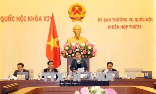 Tạo cơ sở pháp lý vững chắc thực hiện đổi mới căn bản, toàn diện giáo dục ảnh 1