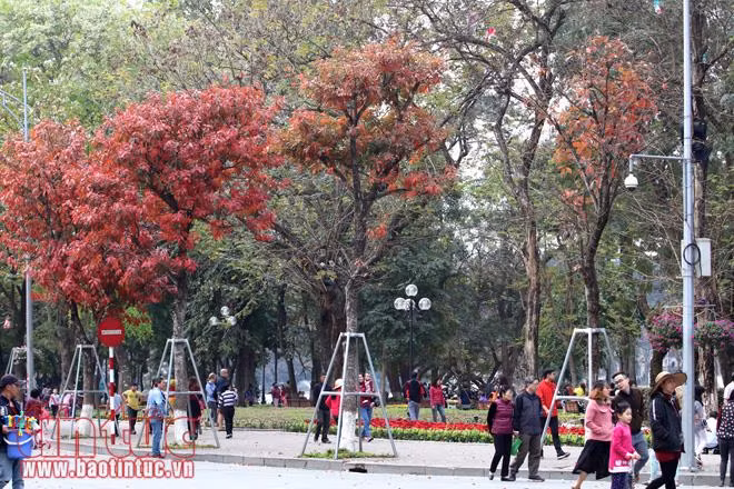 Khoảnh khắc Hà Nội trong tiết giao mùa ảnh 1