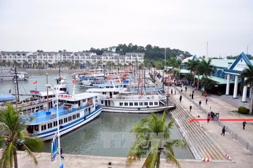 Quảng Ninh: Thấp thỏm lo tàu du lịch vỏ gỗ ảnh 2