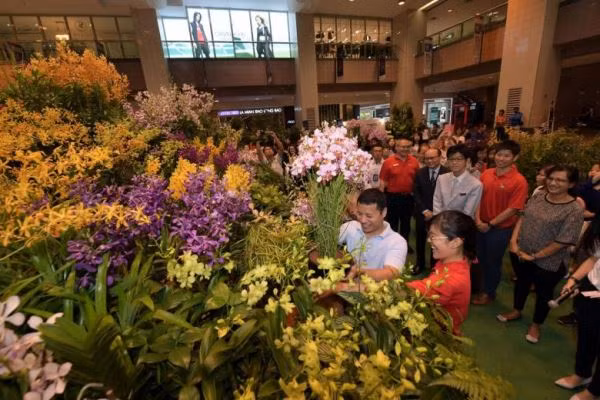 Bồn hoa lớn nhất thế giới tại Singapore ảnh 1