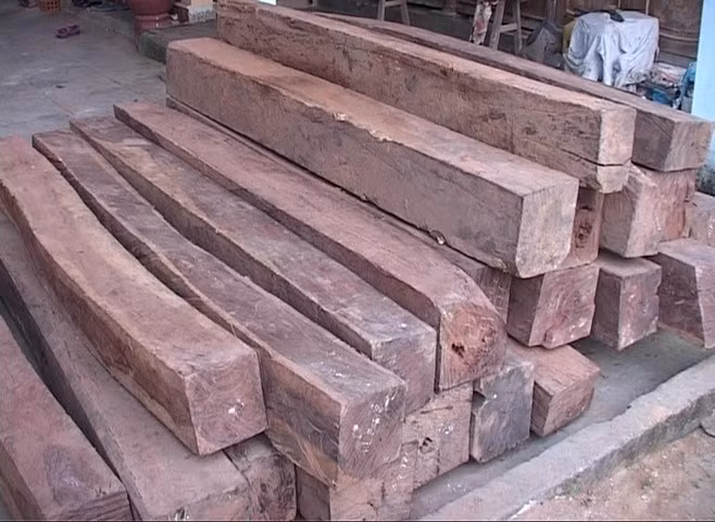 Xét xử cán bộ kiểm lâm 'bắt tay' với lâm tặc ảnh 1