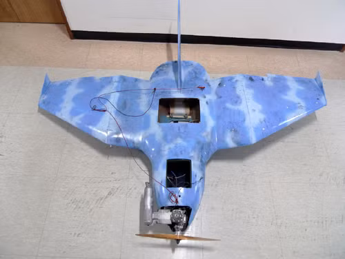Hàn Quốc đối phó nguy cơ tấn công từ UAV ảnh 1