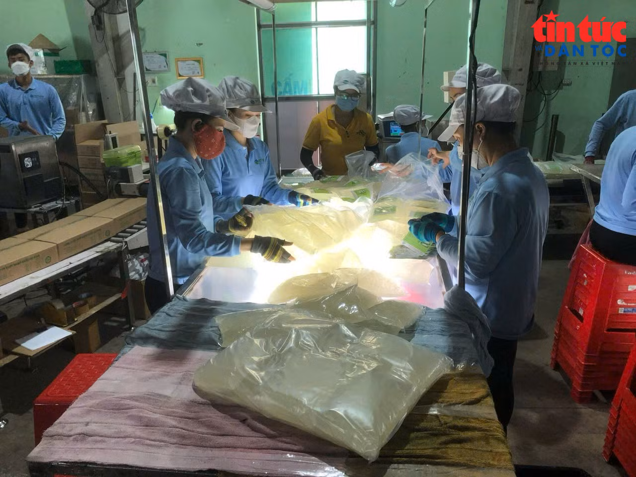 baotintuc_tr_xuatxanh02.jpg