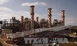 Brazil ngừng miễn thuế nhập khẩu ethanol