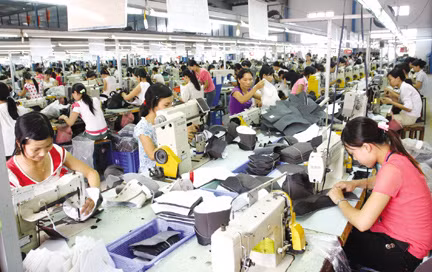 Doanh nghiệp phá sản, 3.500 lao động mất việc ảnh 1