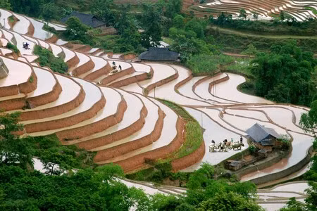 Kỳ vĩ ruộng bậc thang Hoàng Su Phì ảnh 3