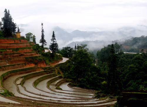 Độc đáo ruộng bậc thang Hoàng Su Phì ảnh 2