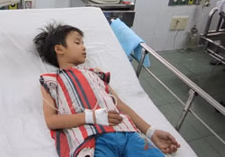  Ăn nhộng ve sầu nhiễm nấm độc, 15 trẻ vào viện ảnh 1