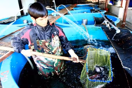 Khoa học, công nghệ và đào tạo sẽ góp phần giúp Tây Bắc phát triển bền vững ảnh 1