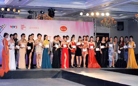 Khởi động cuộc thi Siêu mẫu Việt Nam 2012 ảnh 1