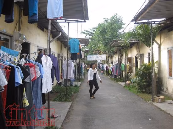 TP Hồ Chí Minh phấn đấu hoàn thành 8 dự án nhà ở lưu trú công nhân ảnh 1