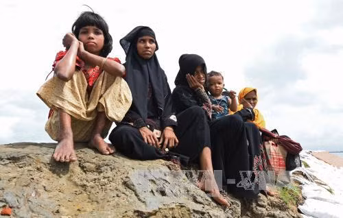 UNHCR khuyến cáo không vội vã hồi hương người Rohingya ảnh 1