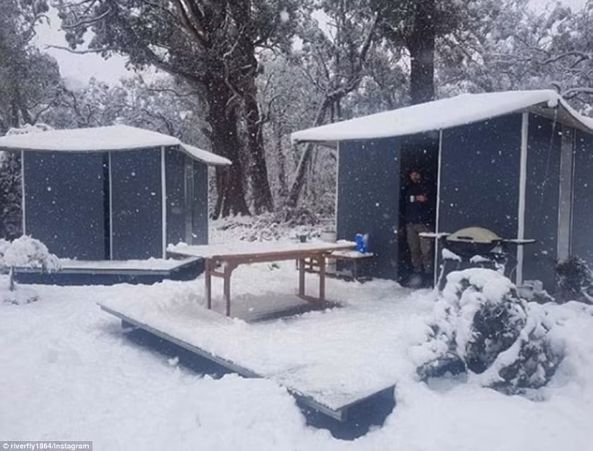 Kỳ thú: Tuyết phủ trắng Tasmania giữa mùa hè ảnh 1