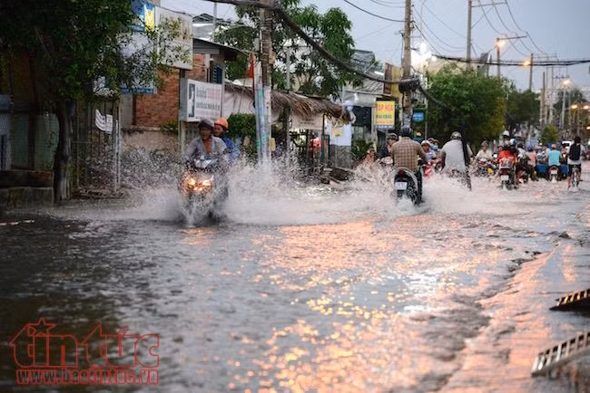 Người dân TP Hồ Chí Minh lại dầm mình trong nước triều cường ảnh 2