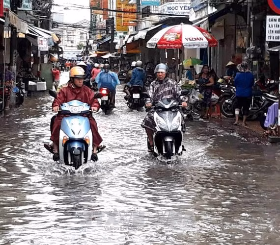 Mưa lớn kết hợp triều cường, người dân Bạc Liêu 'bì bõm' trên phố ảnh 1