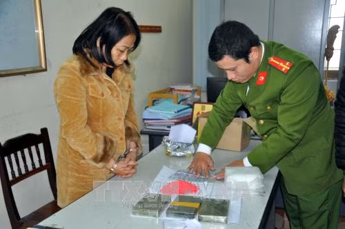 Nhận vận chuyển thuê ma túy vì hoàn cảnh gia đình khó khăn ảnh 1
