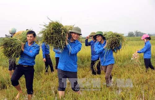 Sôi nổi phong trào xây dựng nông thôn mới của Tuổi trẻ Hà Tĩnh ảnh 1