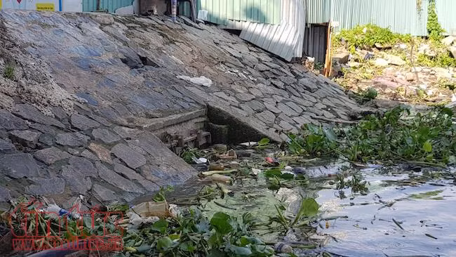 Nguyên nhân nào khiến siêu máy bơm ở TP Hồ Chí Minh hoạt động kéo dài bất thường? ảnh 2
