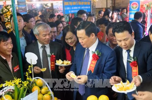Tôn vinh thương hiệu cam và nông sản tỉnh Hà Tĩnh ảnh 1