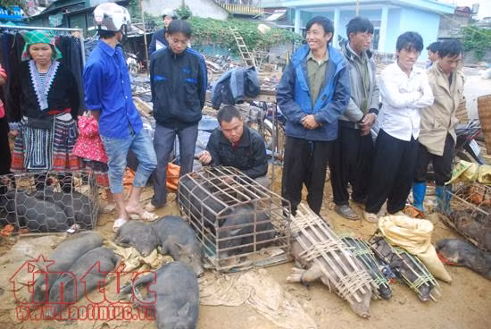 Độc đáo chợ phiên Tam Đường đất ảnh 8