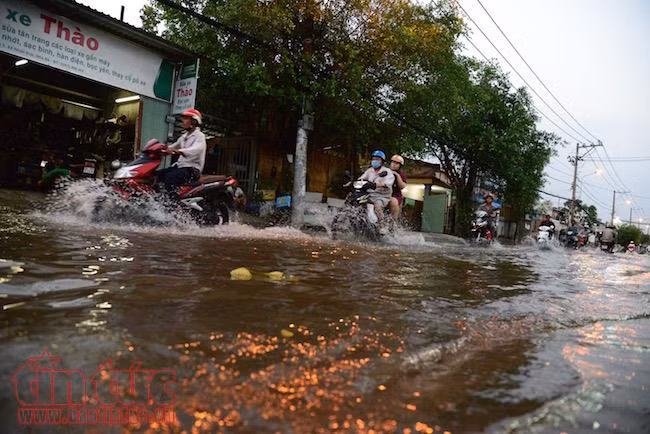 Người dân TP Hồ Chí Minh lại dầm mình trong nước triều cường ảnh 10