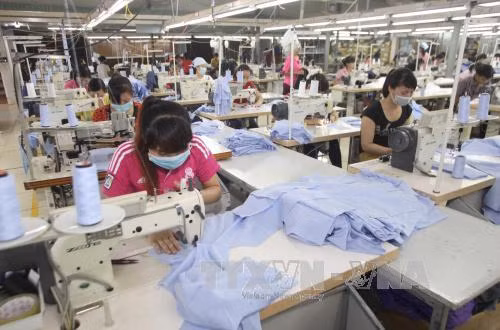 Kim ngạch xuất khẩu dệt may đạt 31 tỷ USD ảnh 1