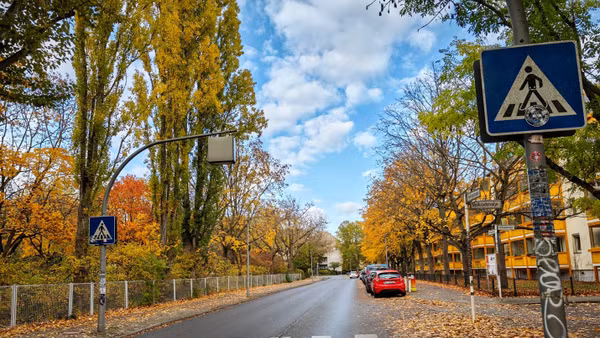 Lá vàng rực trên phố Volkradstraße ở thủ đô Berlin (Đức). Ảnh: Thuỳ Linh – P/v TTXVN tại Đức