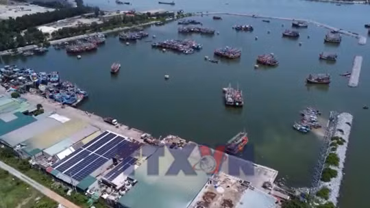 Quyết tâm gỡ thẻ vàng IUU trong năm 2026