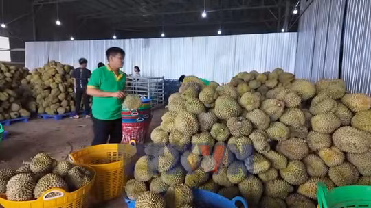 Xuất khẩu tăng tốc về đích