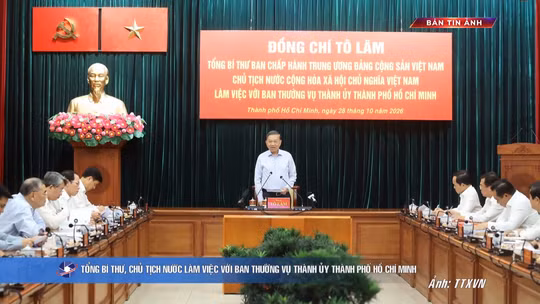 Bản tin ảnh chiều 28/10