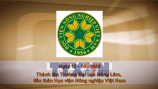Khoảnh khắc & sự kiện ngày 12/10 
