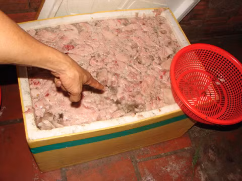 Rùng mình 'lò' chế biến mỡ động vật bốc mùi hôi thối ảnh 6