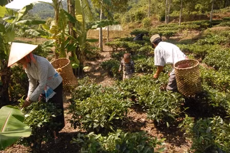 Đầu tư, hỗ trợ hiệu quả để phát triển dân tộc thiểu số ảnh 2